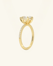 Pear Cut Pavé Hidden Halo Moissanite Ring