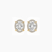Oval-cut moissanite halo stud earrings in yellow gold vermeil, front view.